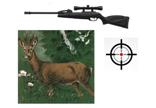 Thaler Übungsschiessen 2024