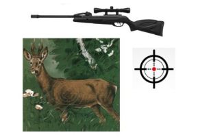 Thaler Übungsschiessen 2024